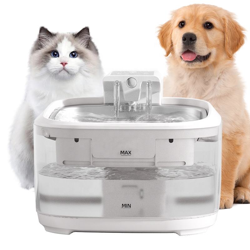 Pet water fountains for dogs
