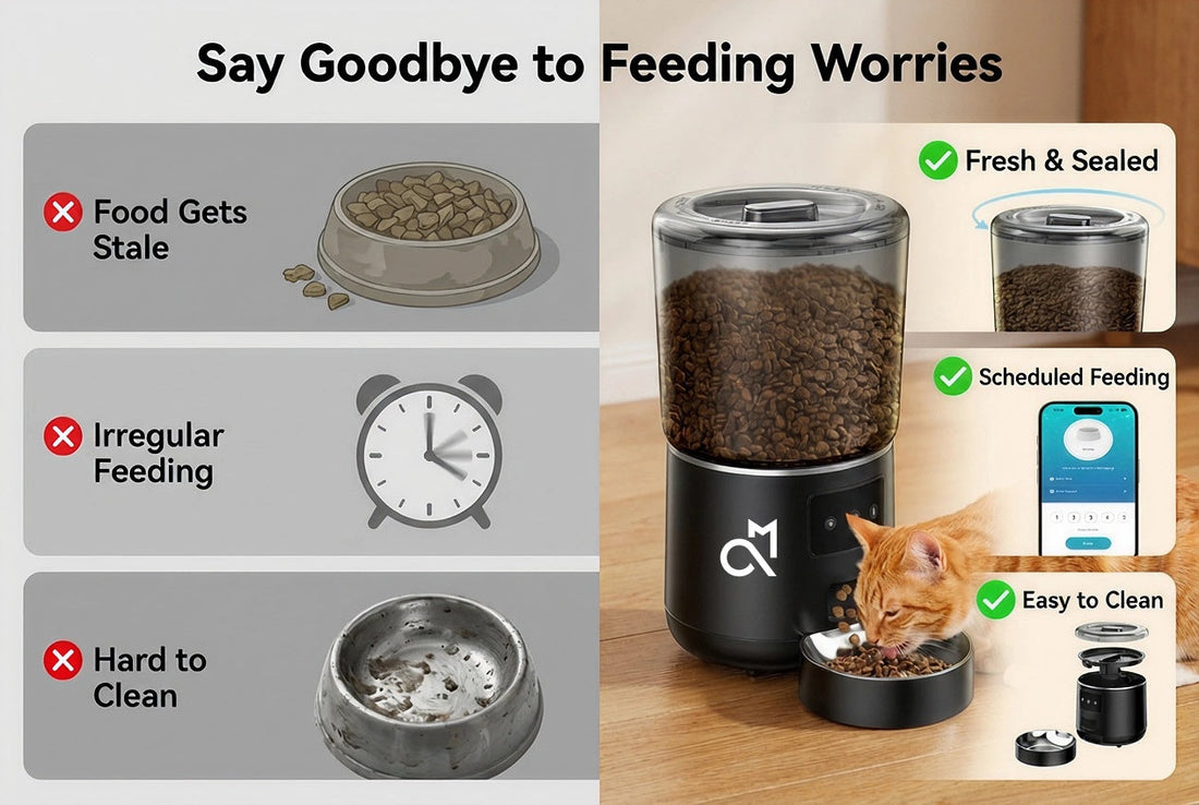 Best automatic pet feeder for 5GHz WiFi 