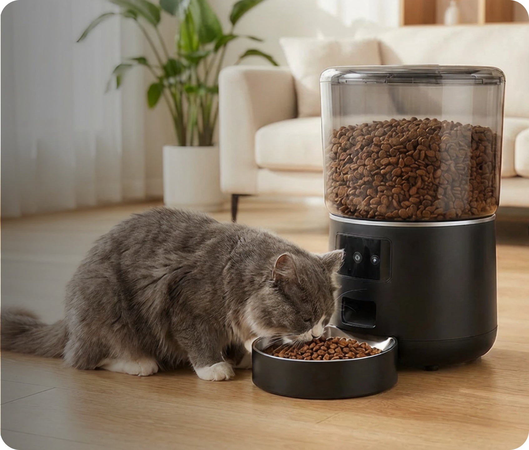 Smart Pet Feeders Collection